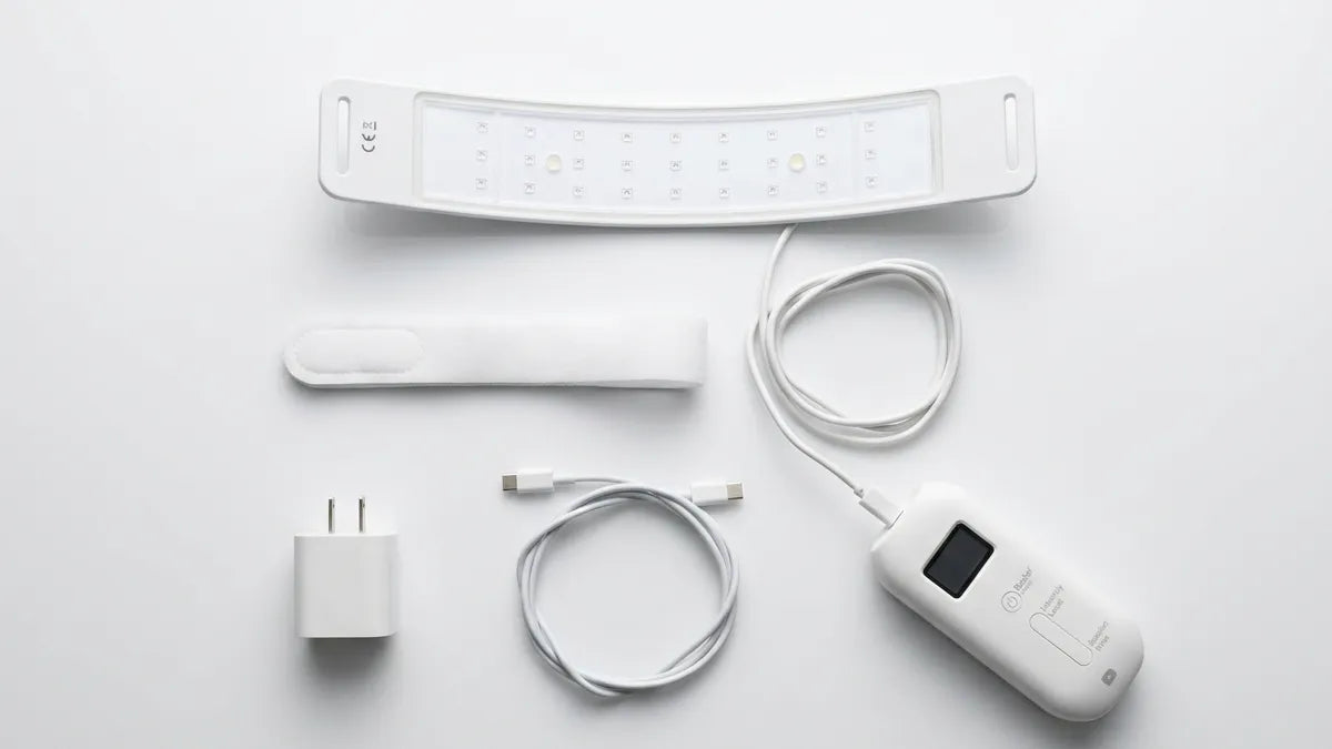 Everything in the box: the collar, strap, control pod, USB-C cable and wall adapter